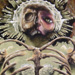 tattoo galleries/ - burton detail - 32610